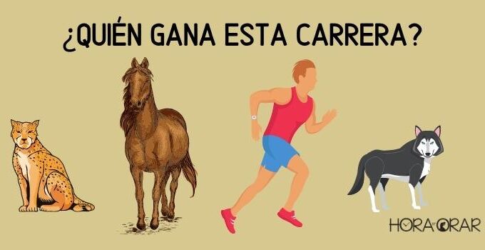 Un guepardo, un caballo, un hombre y un lobo. Quién gana esta carrera?