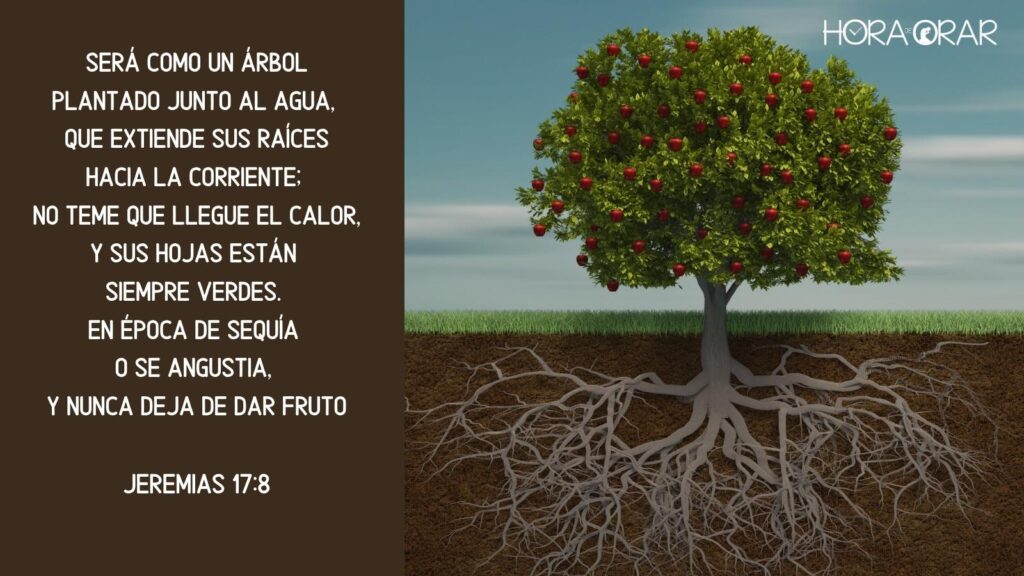 Un árbol con sus muchos frutos y raíces muy profundas. Jeremias 17:8