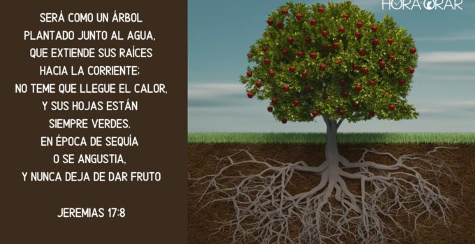 Un árbol con sus muchos frutos y raíces muy profundas. Jeremias 17:8