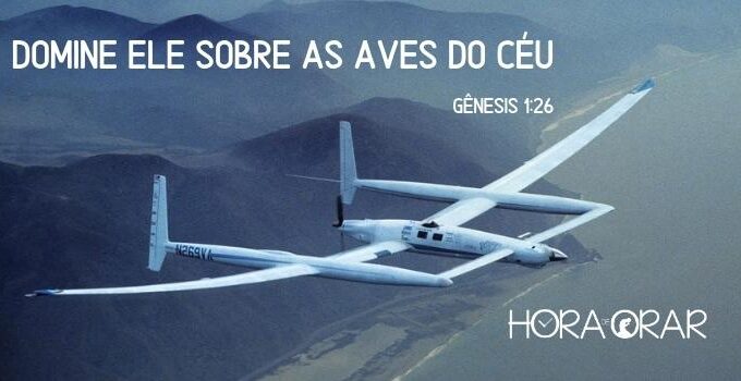 O Rutan Voyager. Genesis 1:26