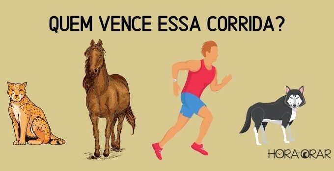 Um leopardo, um cavalo, um homem e um lobo. Quem vence essa corrida?