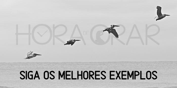 Aves voando, uma atrás da outra, sobre o mar. A frase: "Siga os melhores exemplos".