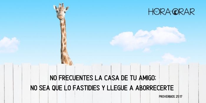 Girafa mira por sobre la cerca del vecino.