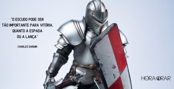 Soldado medieval com seu escudo, espada e armadura.