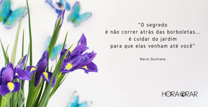 Flores e borboletas com a frase de Mario Quintana