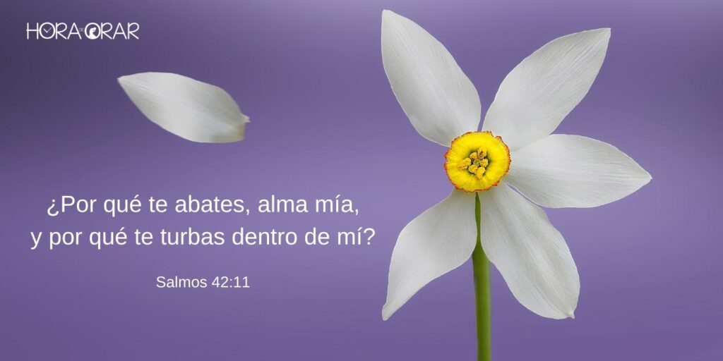 Flor pierde una petala y el Salmo 42:11