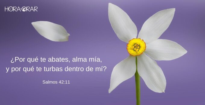 Flor pierde una petala y el Salmo 42:11