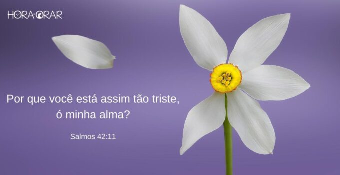 Uma flor perdendo uma das suas pétalas e o versículo de Salmos 42:11