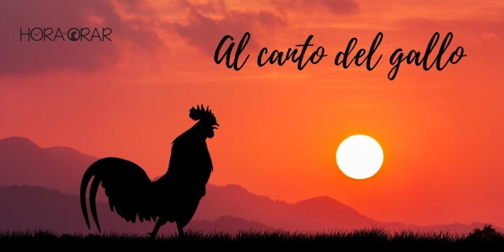 Un gallo cantando al amanecer