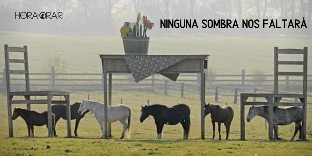 Una mesa y sillas gigantes hacen sombra para caballos