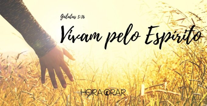 Imagem de alguém andando pelo campo e o versículo de Galatas 5:16, Vivam pelo Espirito.