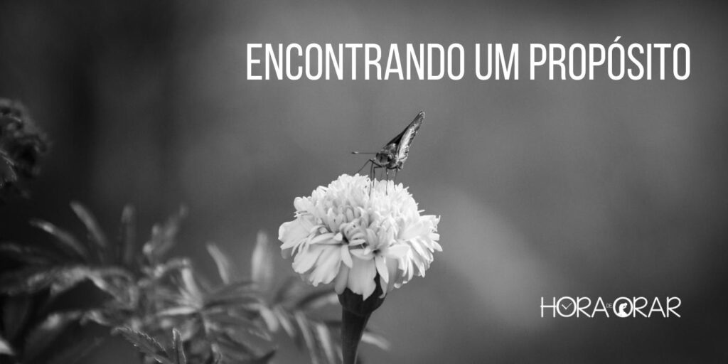 Uma flor branca em foto preto e branco