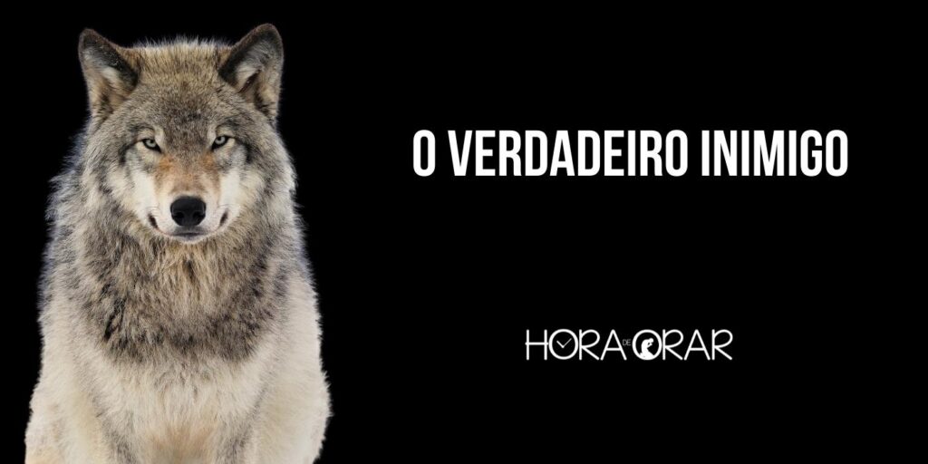 Um lobo