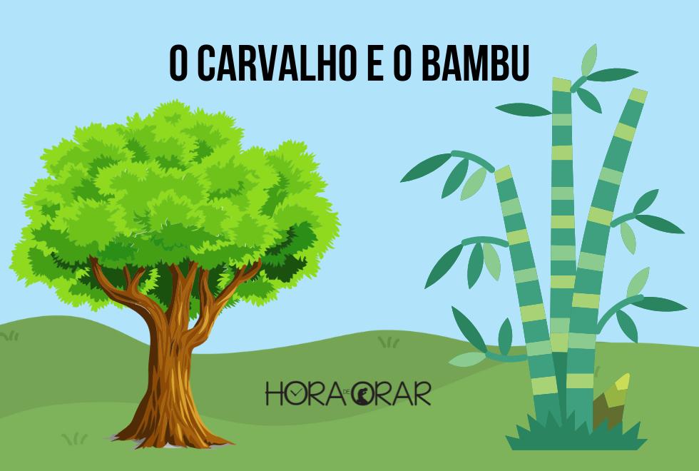 Desenho de um carvalho e um bambu, lado a lado