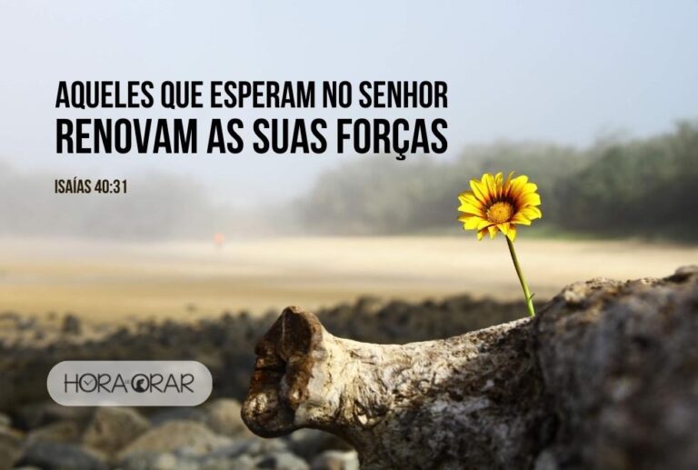 Aqueles que esperam no Senhor renovam as suas forças - Hora de Orar ...