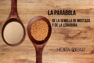 La parábola de la semilla de mostaza y la levadura - Hora de Orar ...