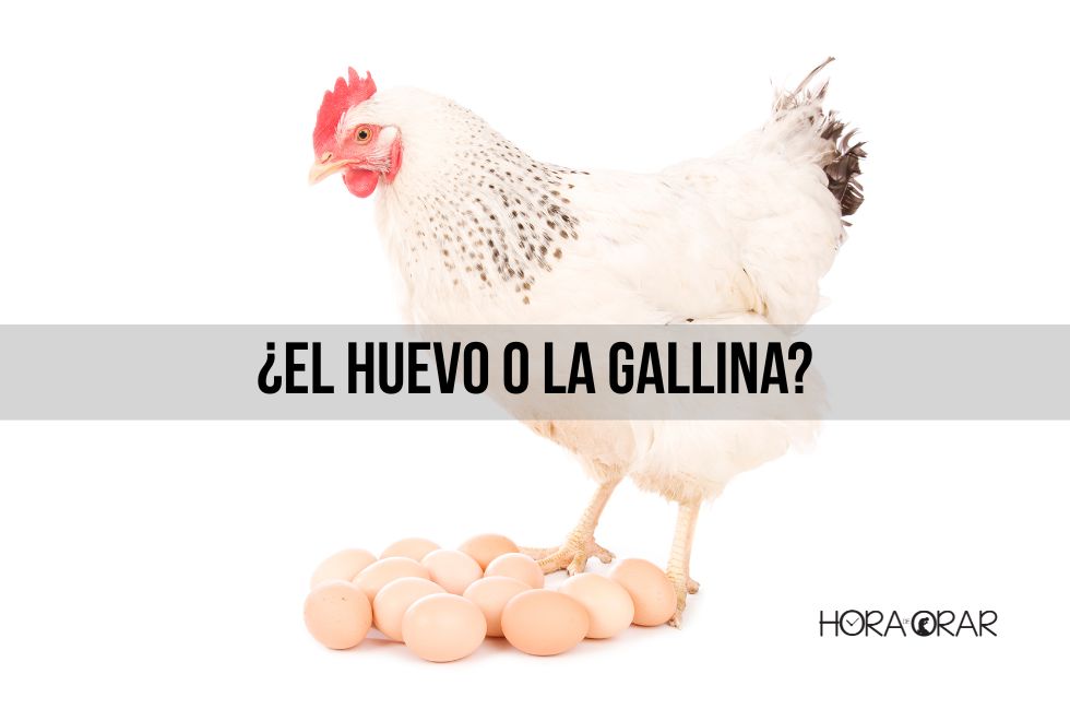 el-huevo-o-la-gallina
